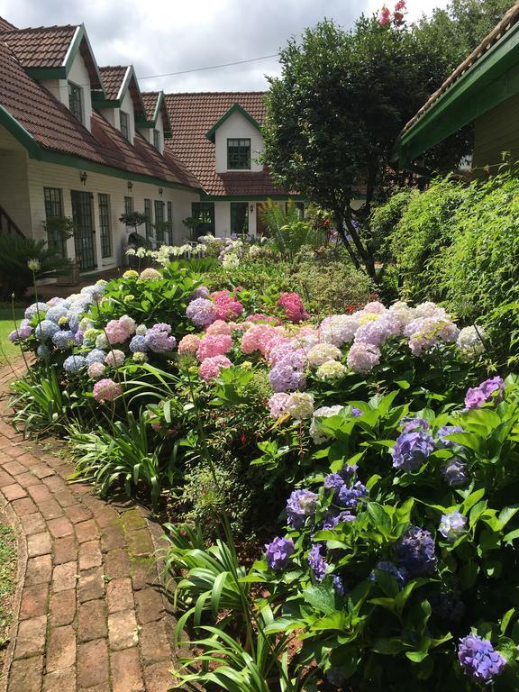 Diggersrest Lodge Haenertsburg Ngoại thất bức ảnh
